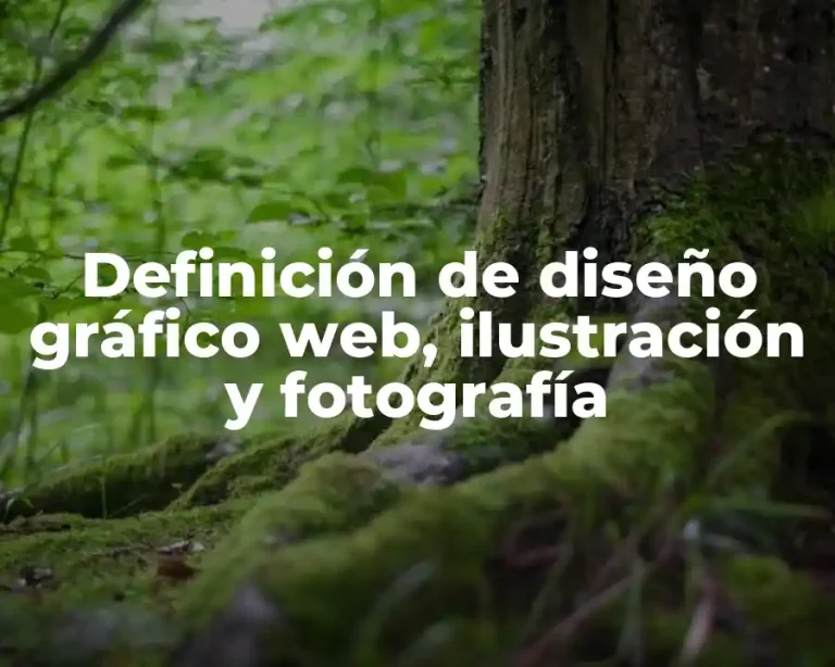 Definición de diseño gráfico web, ilustración y fotografía
