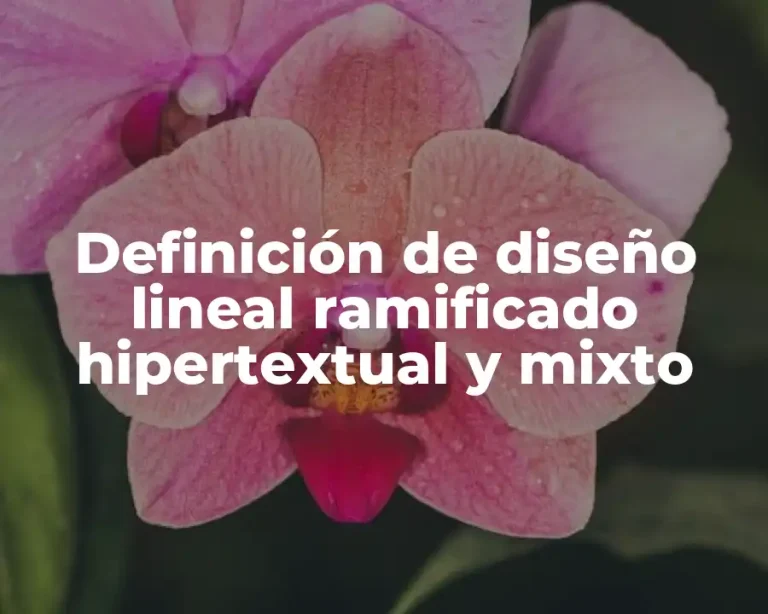 Definición de diseño lineal ramificado hipertextual y mixto
