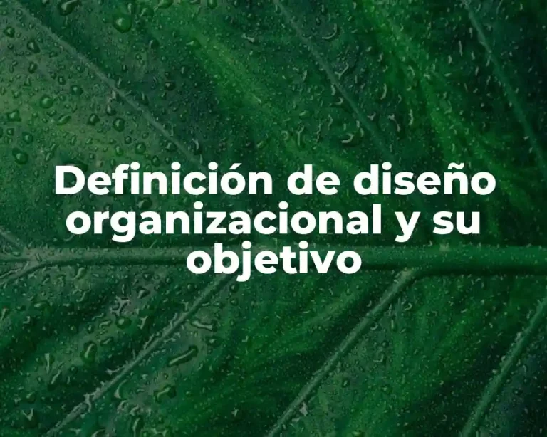 Definición de diseño organizacional y su objetivo