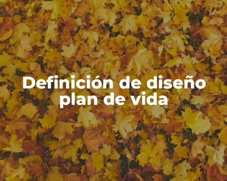 Definición de diseño plan de vida