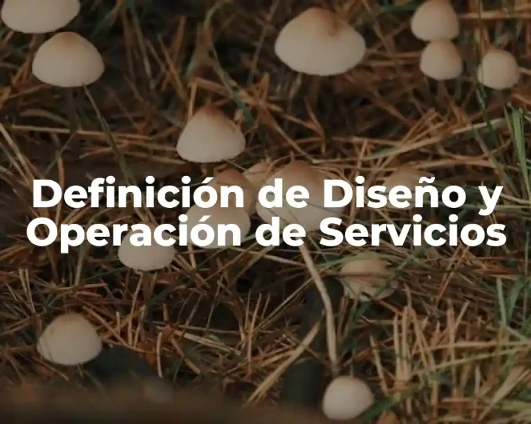 Definición de Diseño y Operación de Servicios
