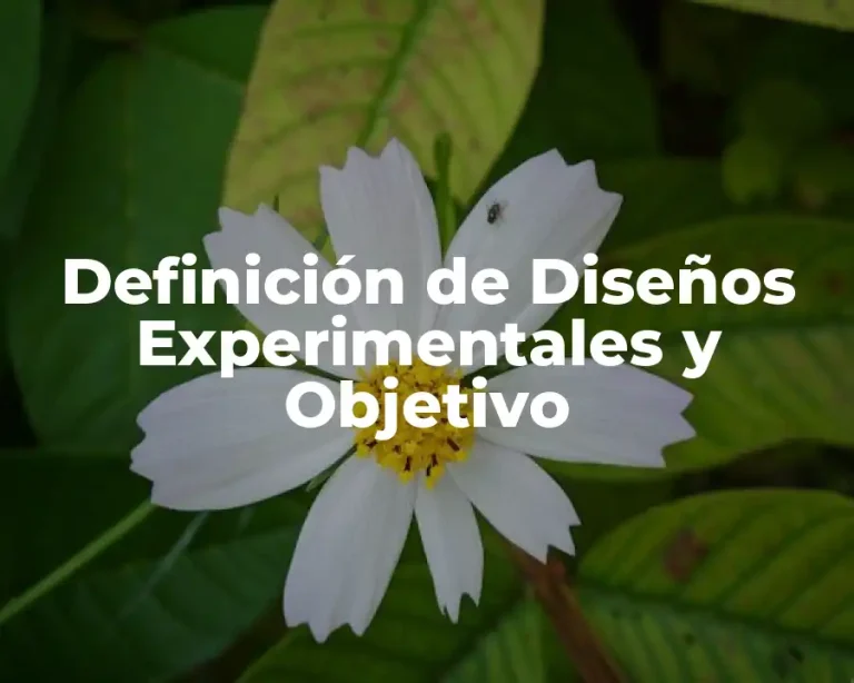 Definición de Diseños Experimentales y Objetivo