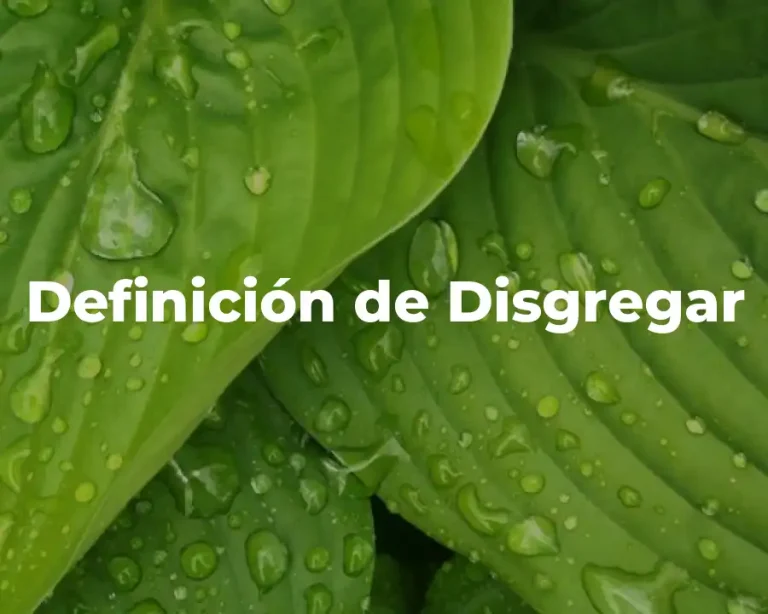 Definición de Disgregar