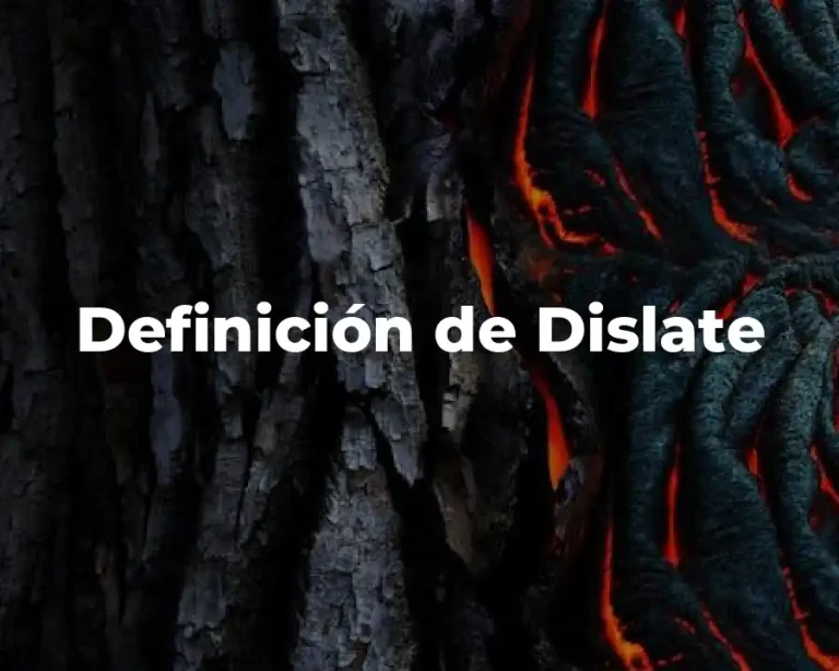 Definición de Dislate