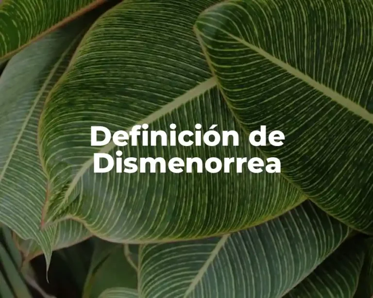 Definición de Dismenorrea
