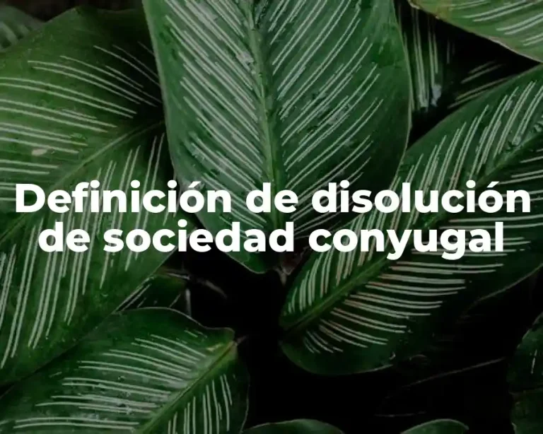 Definición de disolución de sociedad conyugal