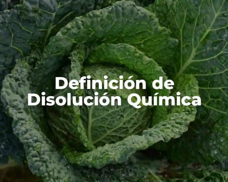 Definición de Disolución Química