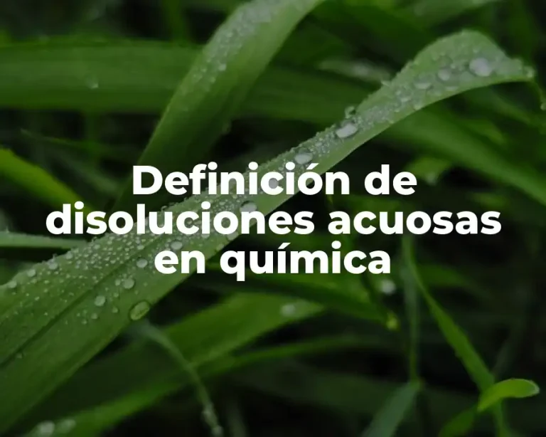 Definición de disoluciones acuosas en química