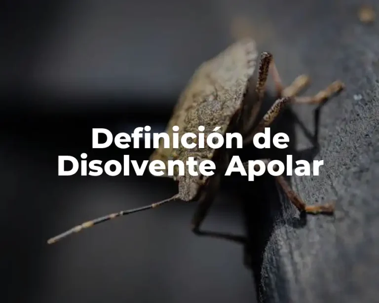 Definición de Disolvente Apolar