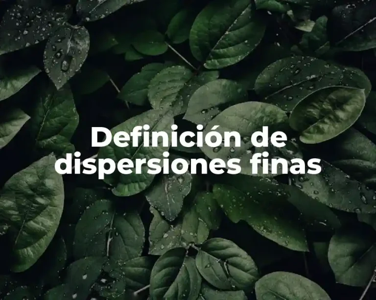 Definición de dispersiones finas