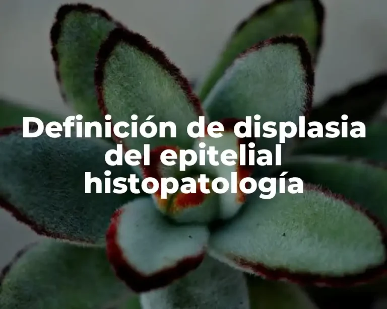 Definición de displasia del epitelial histopatología