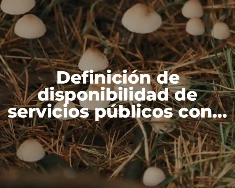 Definición de disponibilidad de servicios públicos con que México cuenta