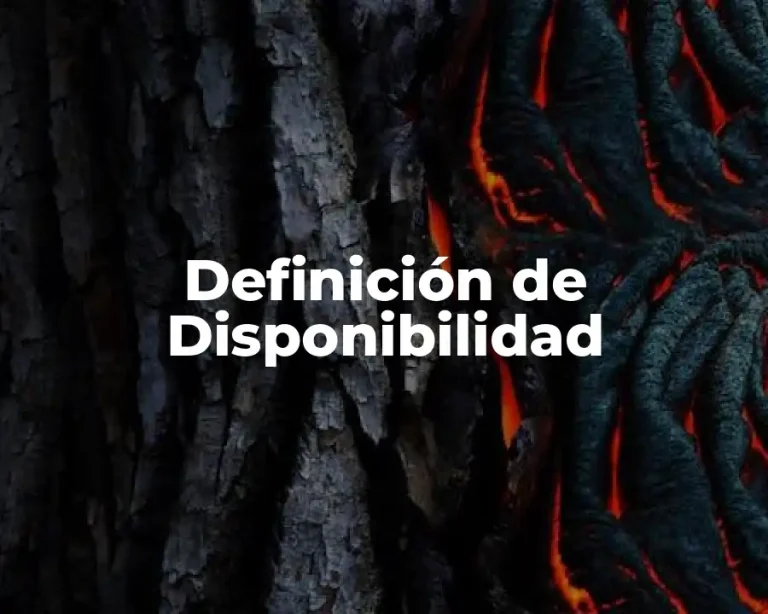 Definición de Disponibilidad