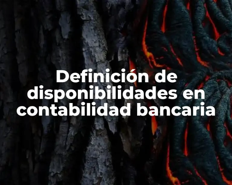 Definición de disponibilidades en contabilidad bancaria