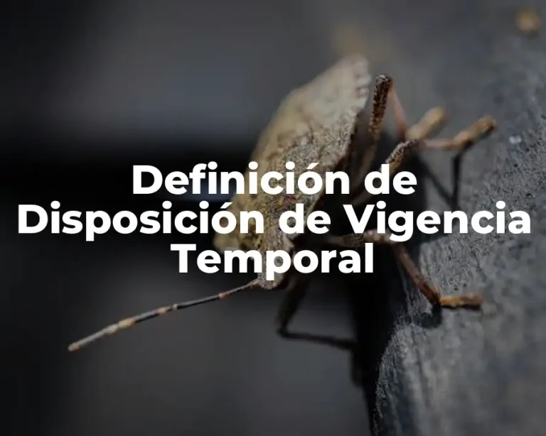 Definición de Disposición de Vigencia Temporal