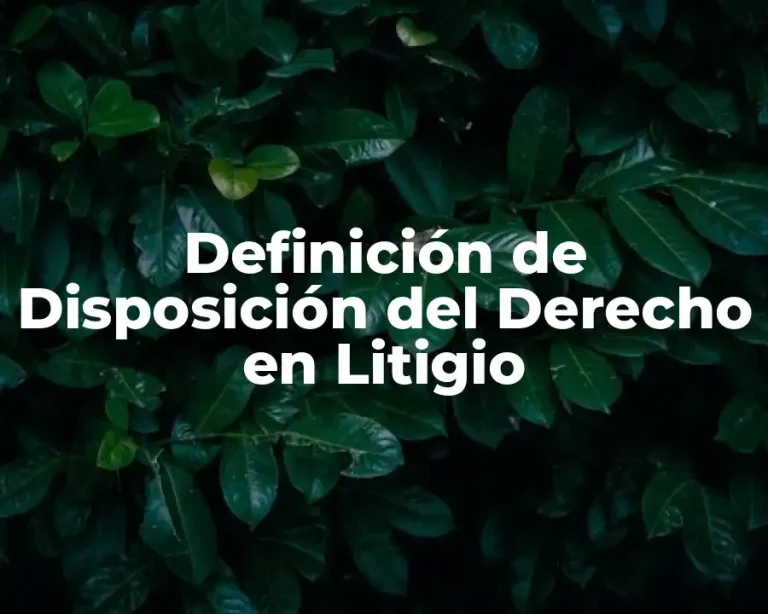 Definición de Disposición del Derecho en Litigio