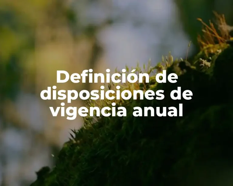 Definición de disposiciones de vigencia anual