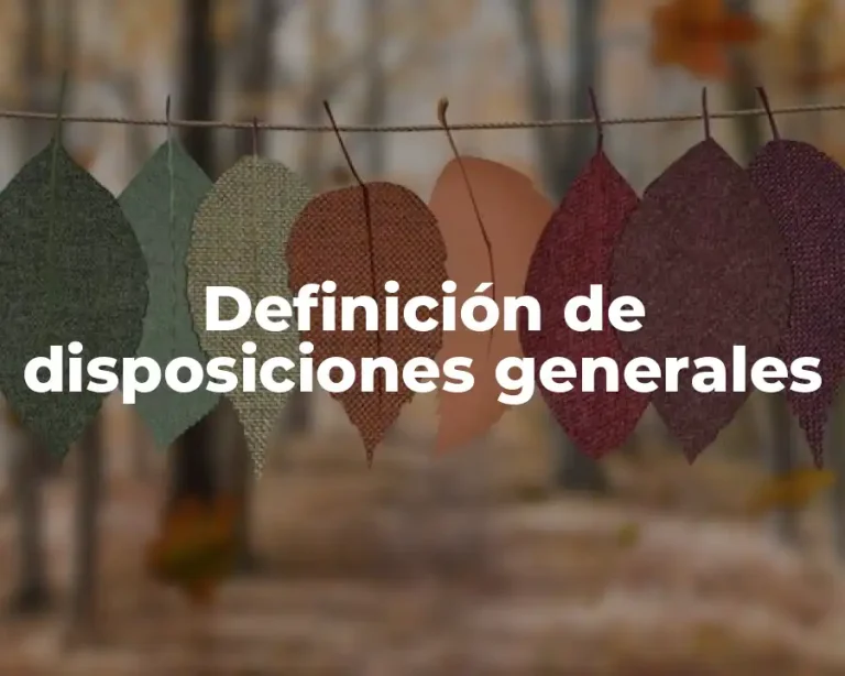 Definición de disposiciones generales