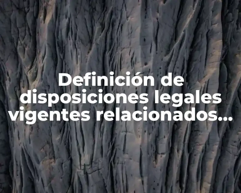 Definición de disposiciones legales vigentes relacionados con la contabilidad