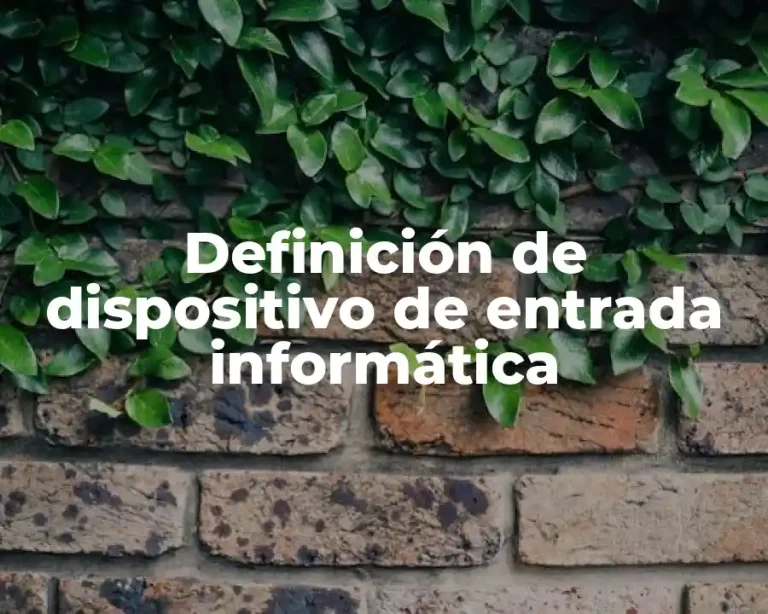 Definición de dispositivo de entrada informática