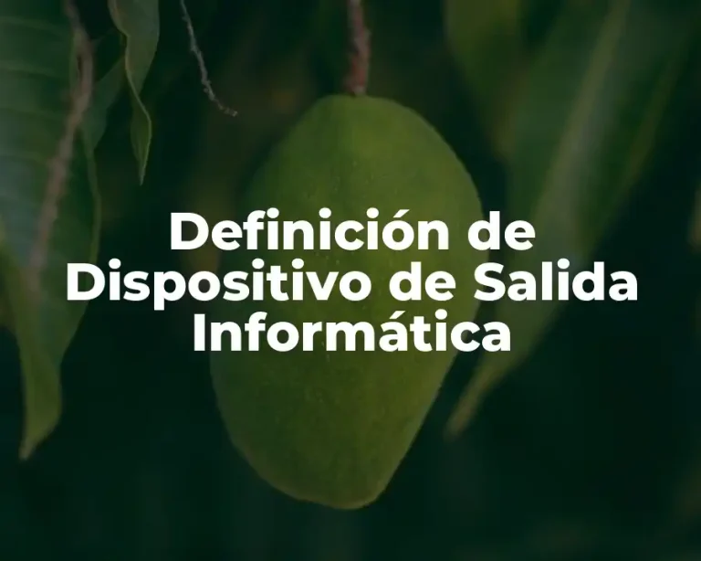 Definición de Dispositivo de Salida Informática
