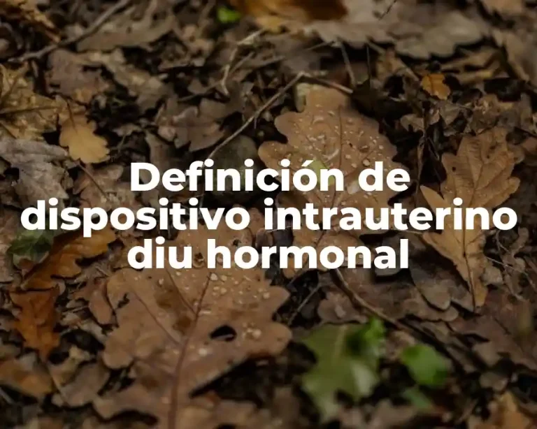 Definición de dispositivo intrauterino diu hormonal