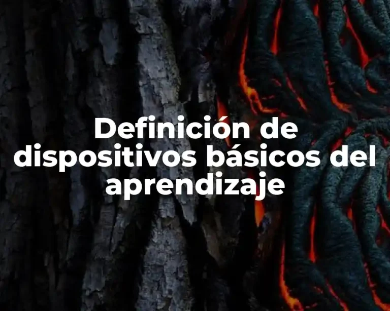 Definición de dispositivos básicos del aprendizaje