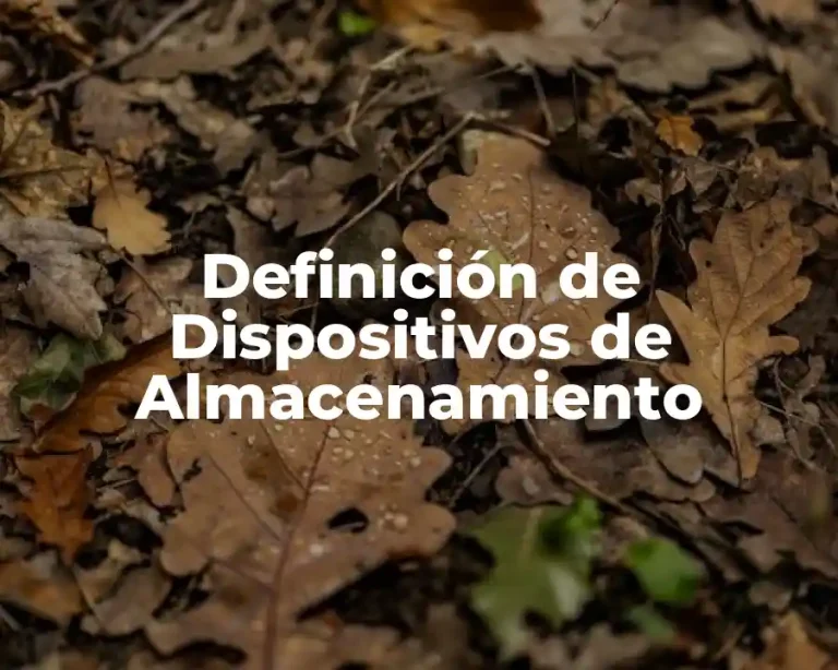 Definición de Dispositivos de Almacenamiento