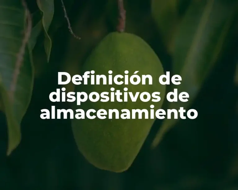 Definición de dispositivos de almacenamiento