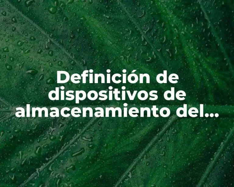 Definición de dispositivos de almacenamiento del computador