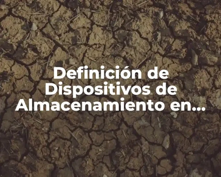 Definición de Dispositivos de Almacenamiento en Informática