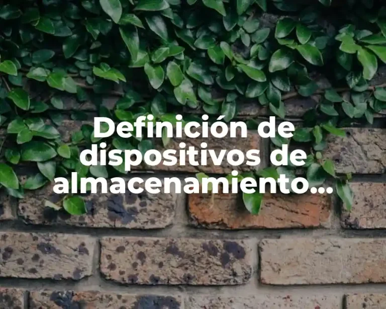 Definición de dispositivos de almacenamiento externo