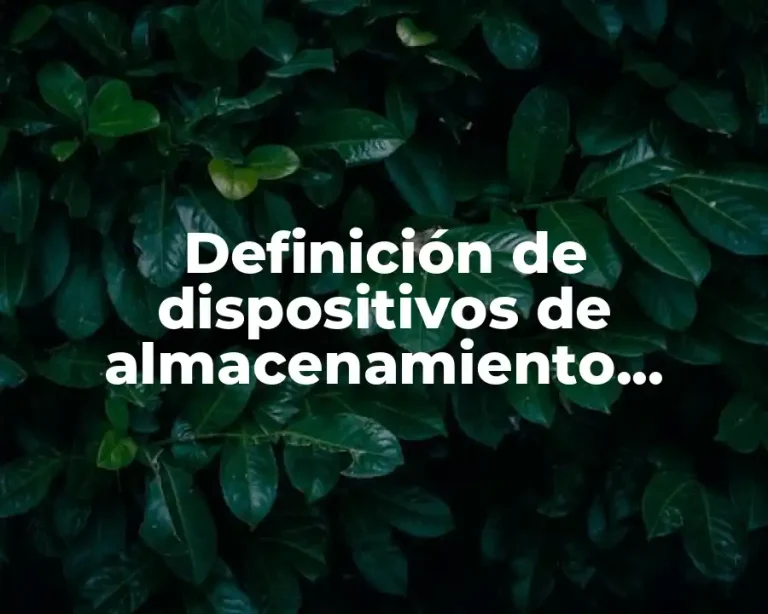 Definición de dispositivos de almacenamiento magnético óptico electrónico