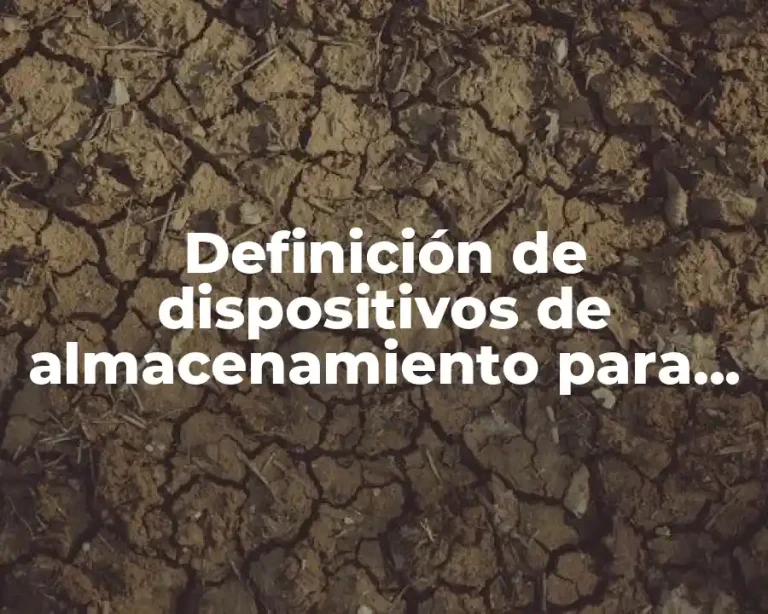 Definición de dispositivos de almacenamiento para niños