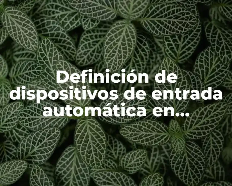 Definición de dispositivos de entrada automática en supermercados