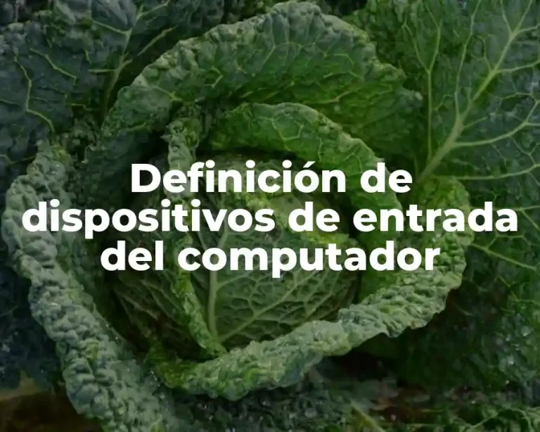 Definición de dispositivos de entrada del computador