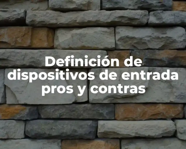 Definición de dispositivos de entrada pros y contras