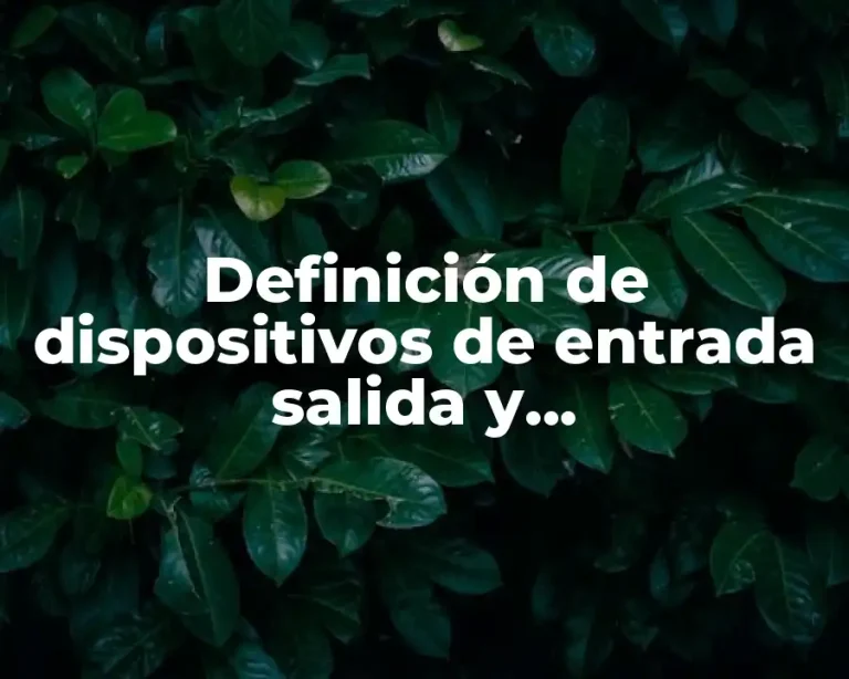 Definición de dispositivos de entrada salida y almacenamiento