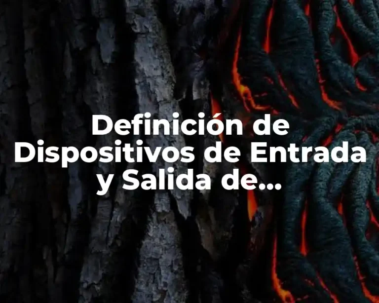 Definición de Dispositivos de Entrada y Salida de Almacenamiento