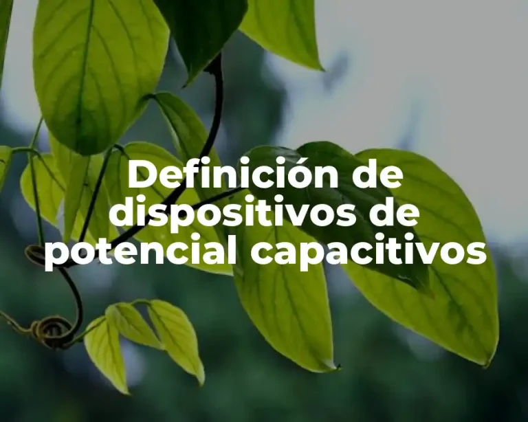 Definición de dispositivos de potencial capacitivos