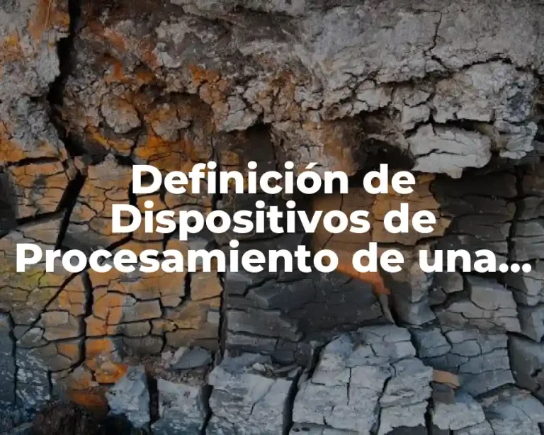 Definición de Dispositivos de Procesamiento de una Computadora