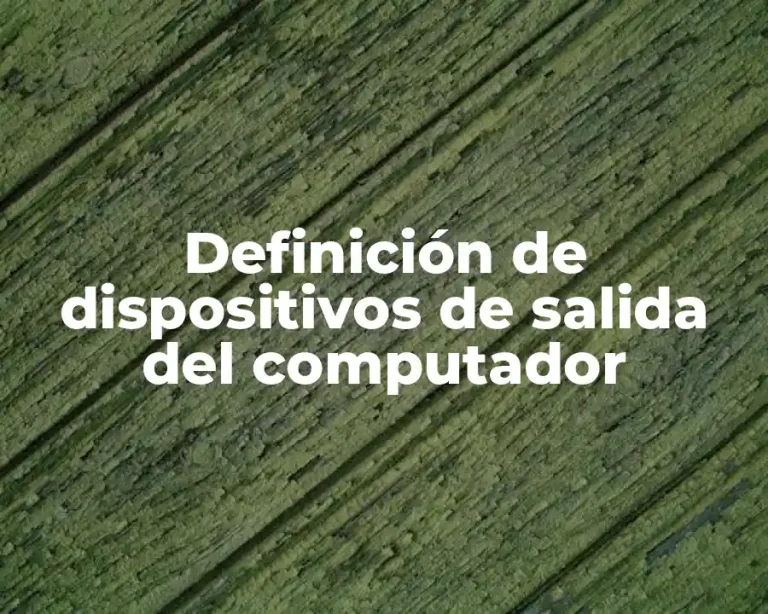 Definición de dispositivos de salida del computador