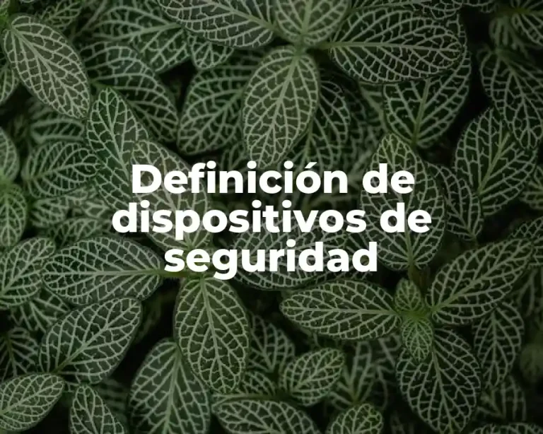 Definición de dispositivos de seguridad