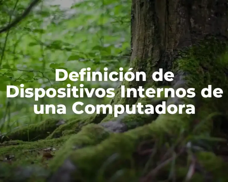 Definición de Dispositivos Internos de una Computadora