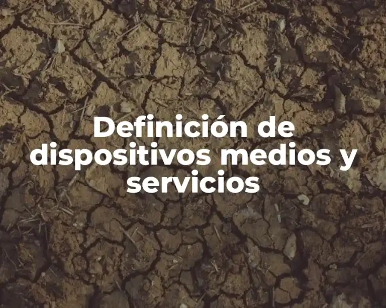 Definición de dispositivos medios y servicios