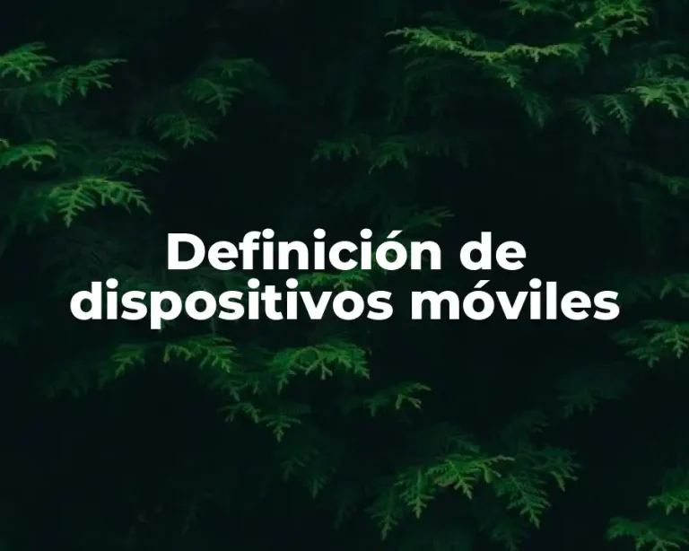 Definición de dispositivos móviles