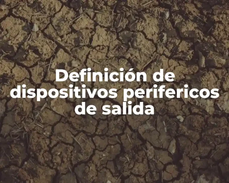 Definición de dispositivos perifericos de salida