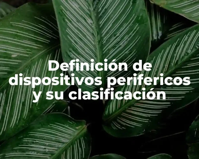 Definición de dispositivos perifericos y su clasificación