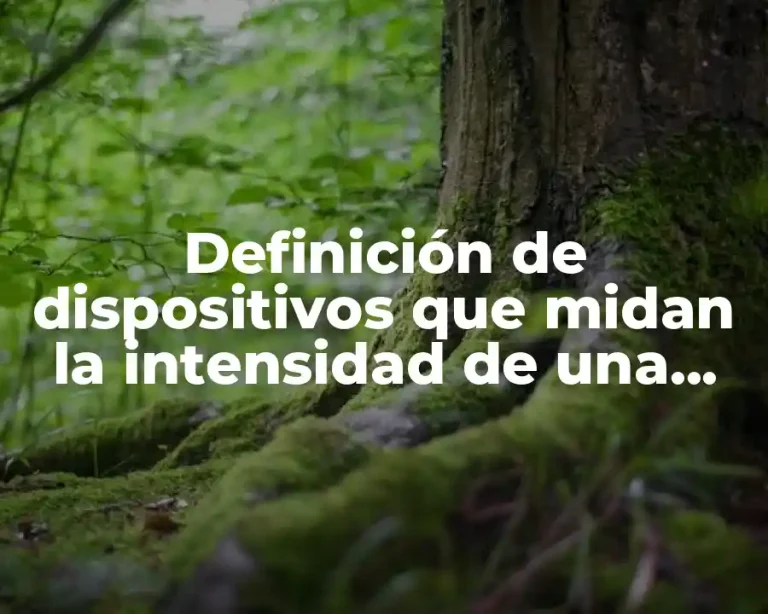 Definición de dispositivos que midan la intensidad de una honda