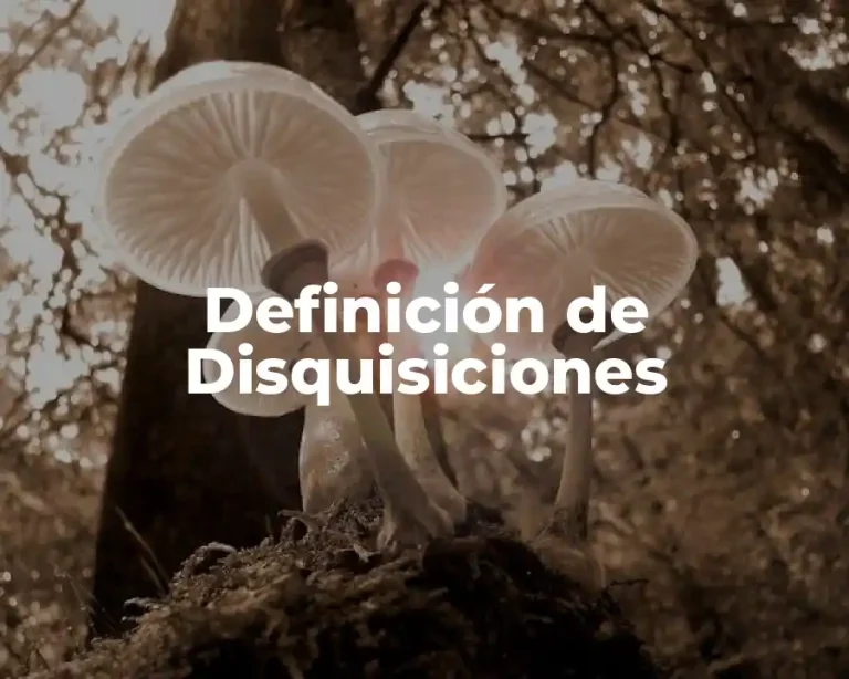 Definición de Disquisiciones